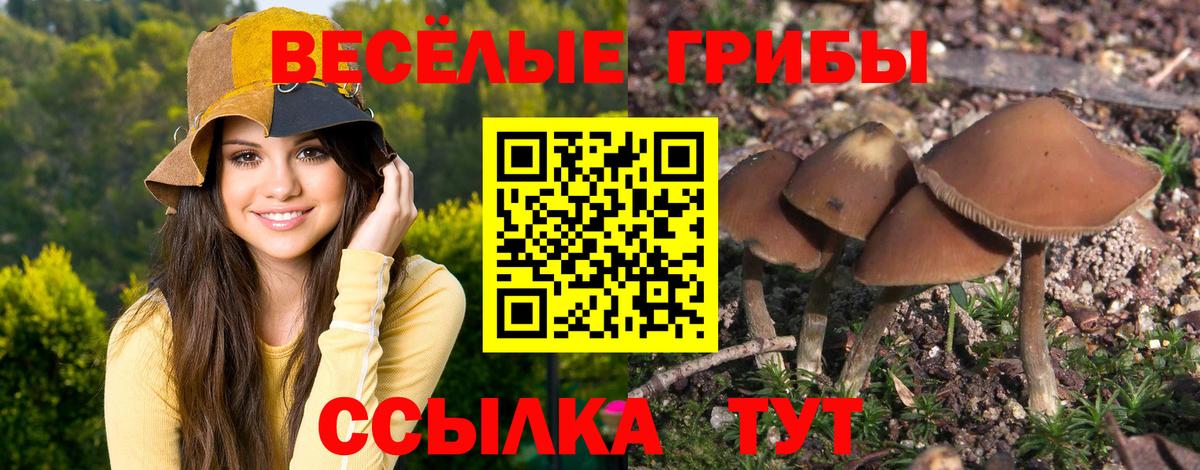 Галлюциногенные грибы GOLDEN TEACHER  Вход с VPN  Губаха 